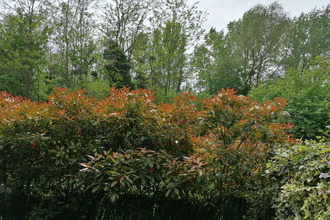 achat appartement meaux 77100