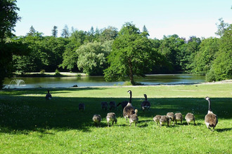 achat appartement merignac 33700