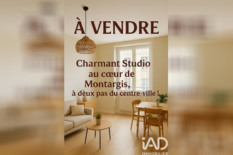 achat appartement mtargis 45200