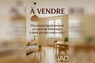 achat appartement mtargis 45200