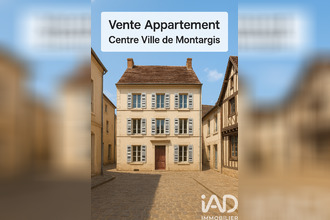 achat appartement mtargis 45200