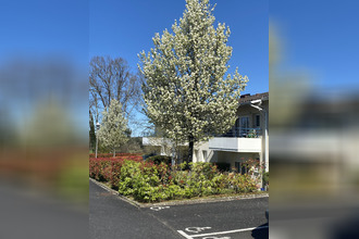 achat appartement mtendre 17130