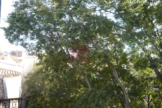 achat appartement mtpellier 34000