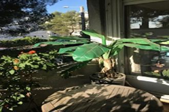 achat appartement mtpellier 34070