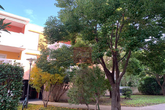 achat appartement mtpellier 34080