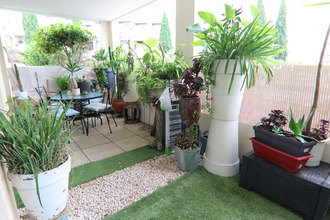 achat appartement mtpellier 34080