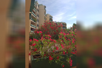 achat appartement mtpellier 34090