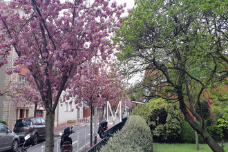achat appartement mtrouge 92120