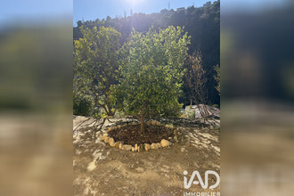 achat appartement nice 06200