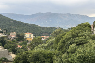 achat appartement oletta 20232