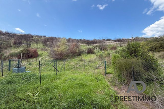 achat appartement oletta 20232