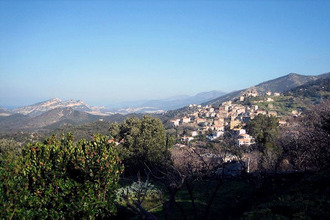 achat appartement oletta 20232