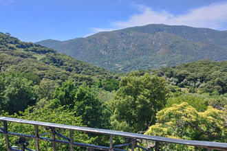 achat appartement olmiccia 20112