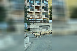 achat appartement orcieres 05170