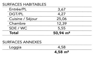 achat appartement paimpol 22500