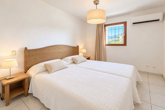 achat appartement palasca 20226
