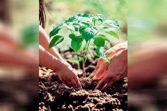 achat appartement paris 75013