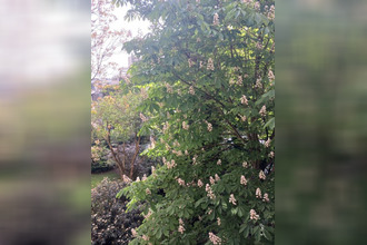 achat appartement paris 75016