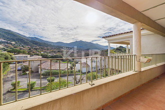 achat appartement patrimonio 20253