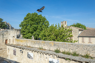 achat appartement pernes-les-fontaines 84210