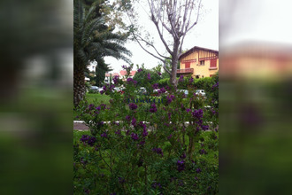 achat appartement perpignan 66000