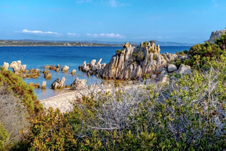 achat appartement pianottoli-caldarello 20131