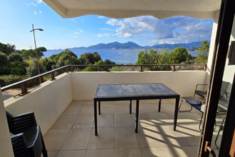 achat appartement pietrosella 20166