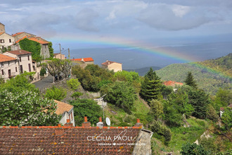 achat appartement poggio-di-nazza 20240