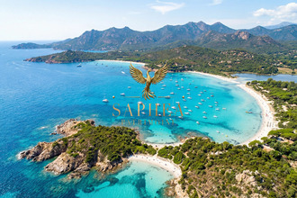 achat appartement porto-vecchio 20137