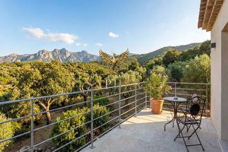 achat appartement porto-vecchio 20137