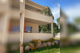 achat appartement prunelli-di-fiumorbo 20243