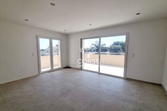 achat appartement prunelli-di-fiumorbo 20243