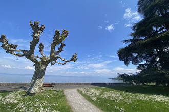 achat appartement publier 74500