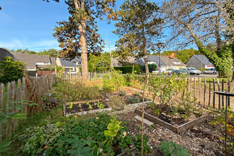 achat appartement rennes 35000