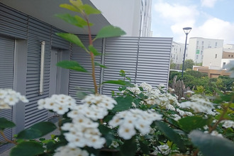 achat appartement rennes 35000