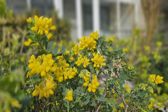 achat appartement royan 17200