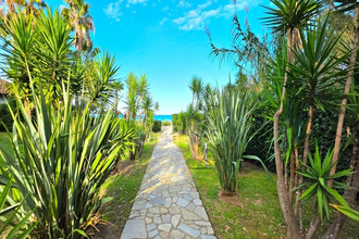 achat appartement san-nicolao 20230