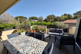 achat appartement santa-lucia-di-moriani 20230