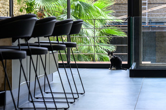achat appartement sarrians 84260