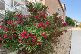 achat appartement sausset-les-pins 13960