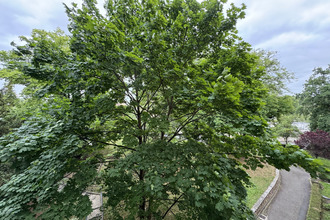 achat appartement savigny-sur-orge 91600