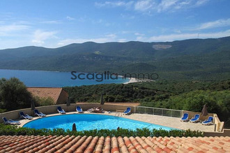 achat appartement serra-di-ferro 20140