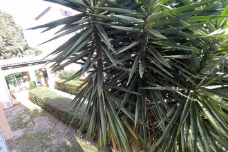 achat appartement six-fours-les-plages 83140