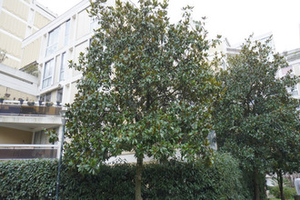 achat appartement soisy-sous-mtmorency 95230