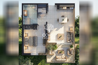 achat appartement sorbo-ocagnano 20213