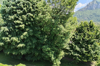 achat appartement st-egreve 38120