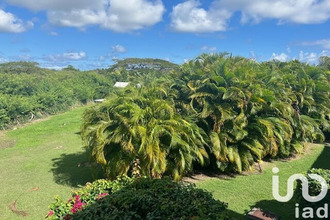 achat appartement st-francois 97118