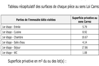 achat appartement st-heand 42570