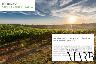 achat appartement st-lambert-du-lattay 49750