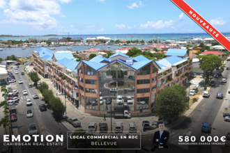 achat appartement st-martin 97150